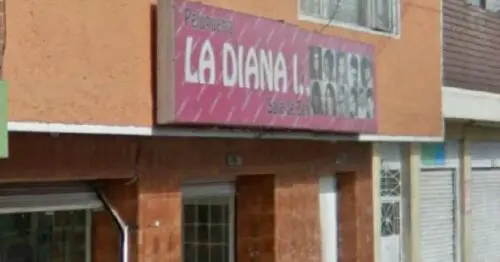 PELUQUERIA LA DIANA PELUQUERIA LA DIANA